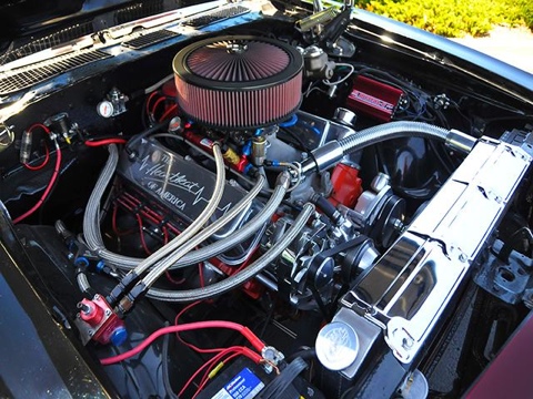 20110701-080530.jpg
